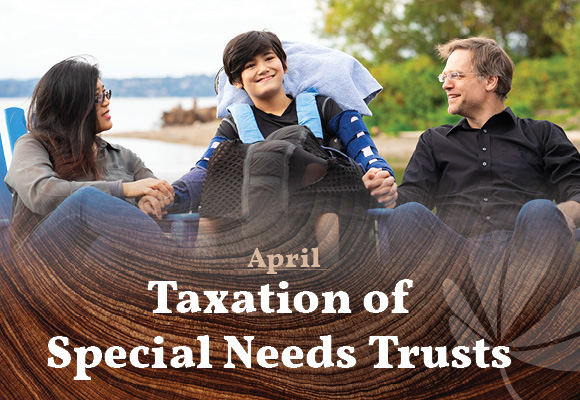 April Mission Insights: Taxation of Special Needs Trusts - Rectangle